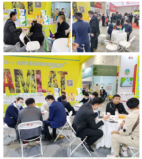 水溶肥，拉姆拉，翠姆